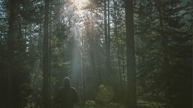 Design portfolio mistakes that cost you high-paying clients